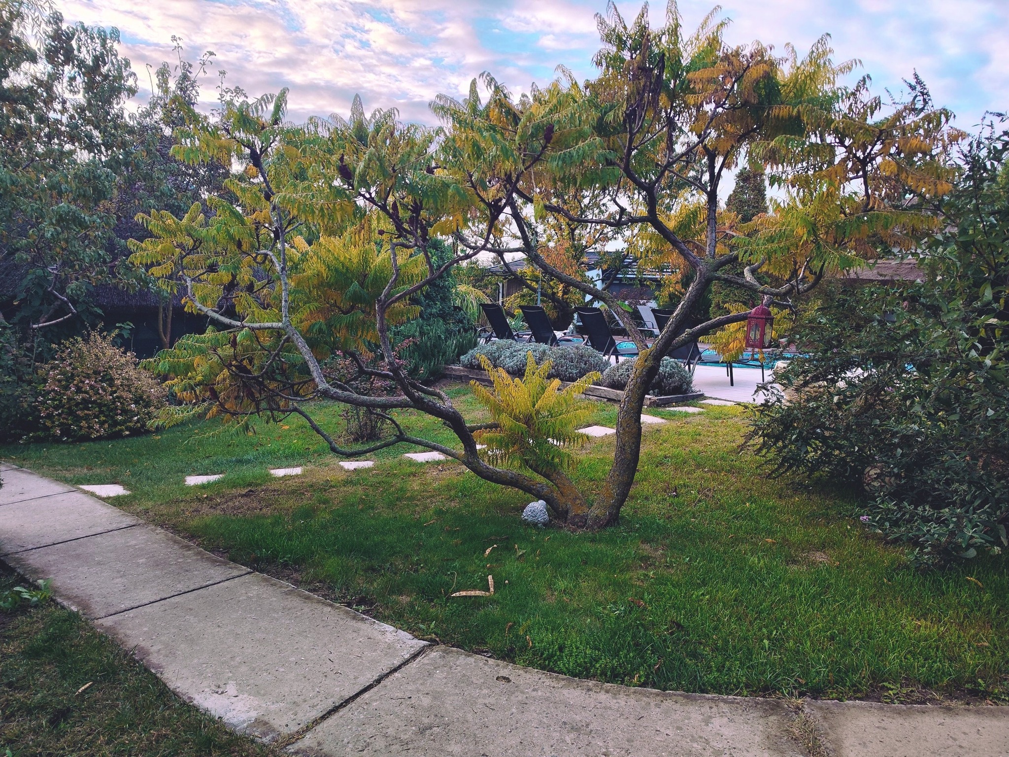 Sunrise House - Main image